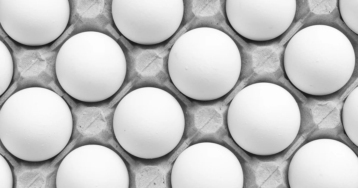 chickens without eggs