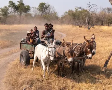 Google Says: 5 Fun Ways AI Agents Spend Your Money