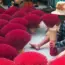 5 American Jobs with AI Exposure Really Starting to Vanish