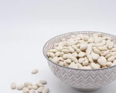 How Biologists Can Access AI-Driven Protein-Design Tools