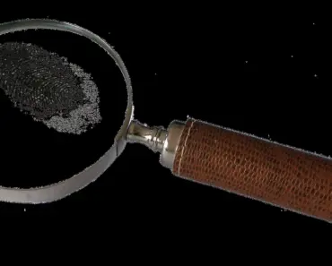 Five AI Search Tools Defining a New Era