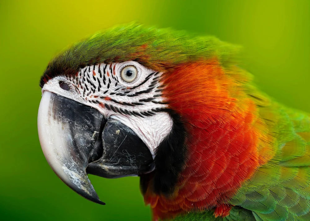 Amazon ai image search - real-life example