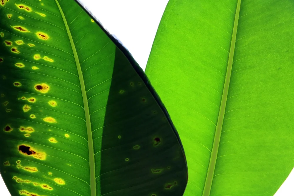 Ideas around Business analytics tools guide