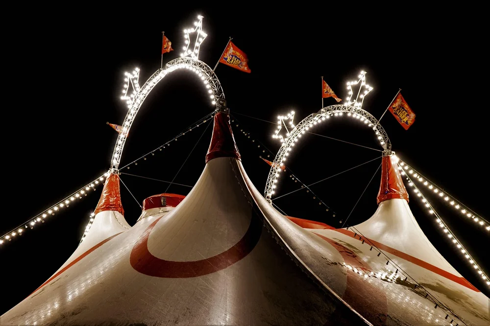 Carnival data breach: cruise giant