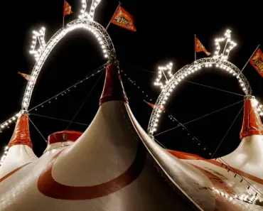 Carnival Data Breach Exposes 6 Million People