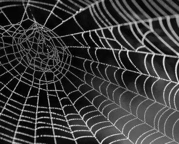 Top 7 Web Design Trends for 2026
