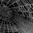 Top 7 Web Design Trends for 2026