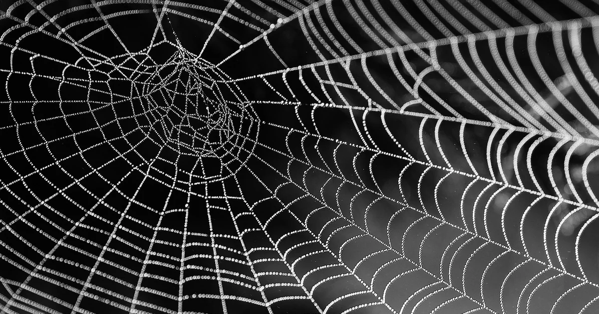 web design trends 2026