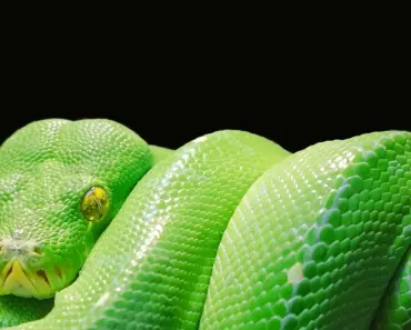 7 Newer Python Data Science Tools You Should Use 7 Newer Python Data Science Tools You Should Use
