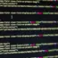 11 Top Web Development Trends
