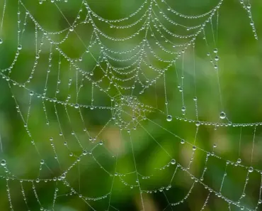 11 Top Web Development Trends in 2025