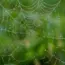11 Top Web Development Trends in 2025
