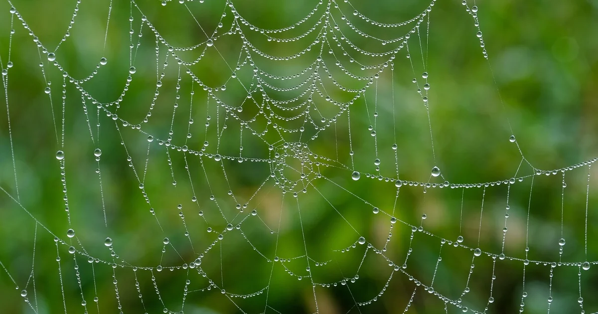web development trends 2025