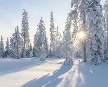 Snowflake Signs $6bn AWS Deal for Enterprise AI Workloads Snowflake Signs $6bn AWS Deal for Enterprise AI Workloads