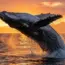 Texas Hunting and Fishing License Holders at Risk