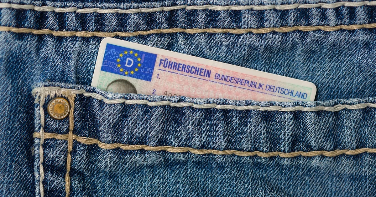 Texas driver license breach