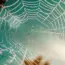 Top 11 Web Application Development Frameworks