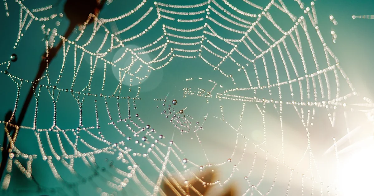 Web application frameworks