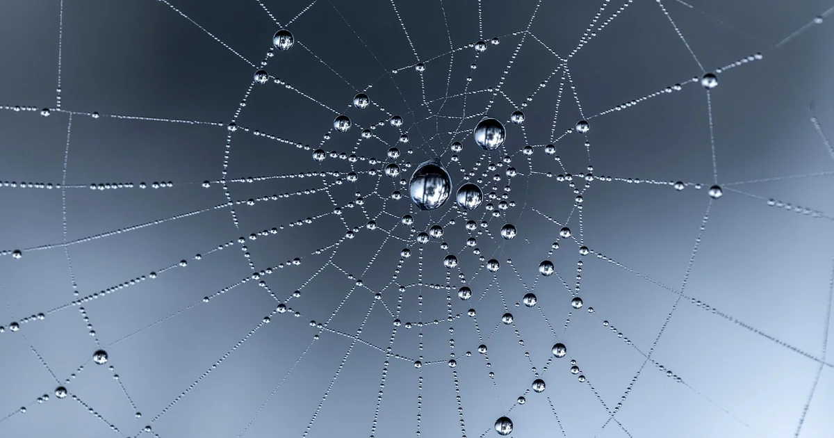 Web development market trends