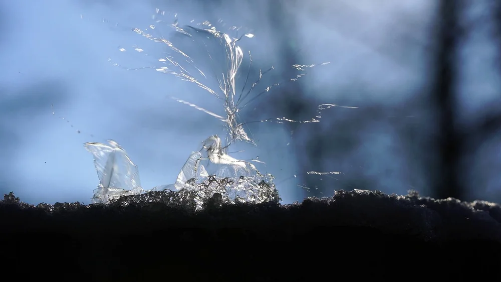 Ai bubble burst - real-life example