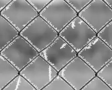Federal Regulator Wants to Fast-Track AI Data Centers to Power Grid