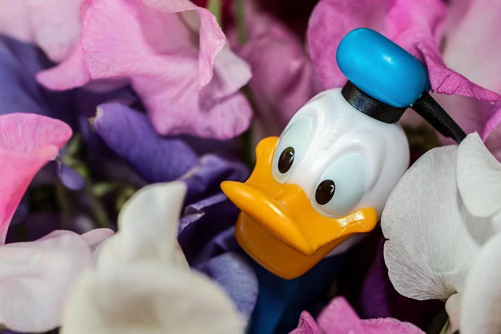 Inspiration for Disney ai ad tool