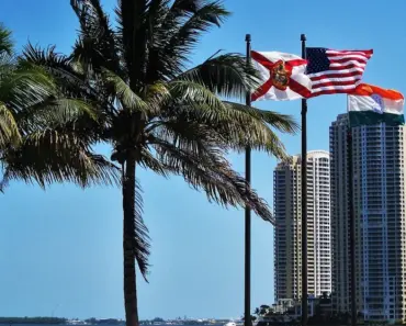 TekRevol: Miami’s Best Mobile App Development Company