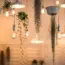 Nanoleaf Smart Multicolor Ceiling Light: Paper Plate Review