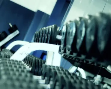 Open Weights Fuel American AI Leadership