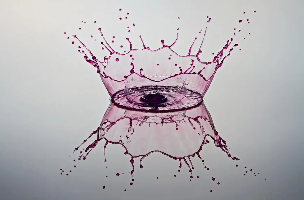 Inspiration for Ai risk perception