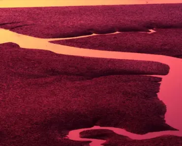 This Clothes Washer Type Uses The Least Amount Of Water And Energy