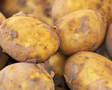 Here are all of the new Apple products worth waiting for, and what to avoid buying now