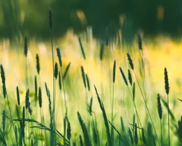 AI-RAN is redefining enterprise edge intelligence and autonomy