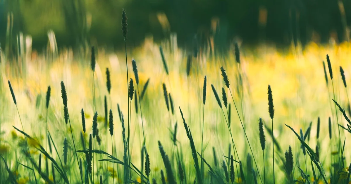 edge intelligence autonomy