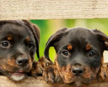 “A16Z-Backed News Brand Explosion: 9 Radical Ways to Dump Information into Your Brain”