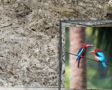 13 Stunning Mother’s Day Gift Ideas: Take Up to 13% Off Aura’s Best Digital Picture Frames