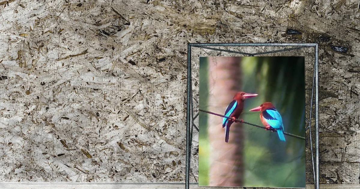 digital picture frames