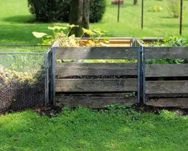 5 Kitchen Composters That Will Revolutionize Your Food Waste Management