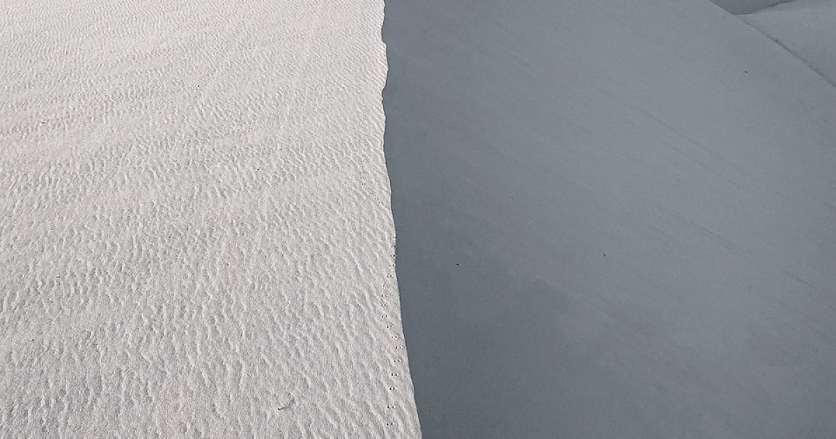 brazil betting apps for