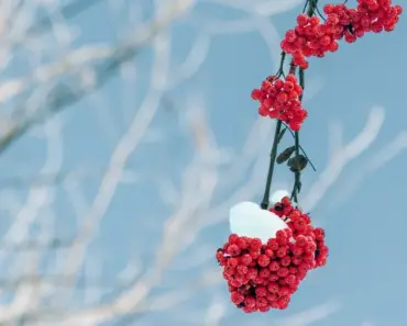 The largest orbital compute cluster is open for business