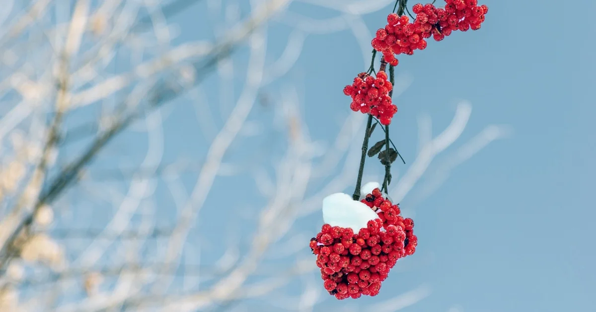 orbital compute cluster