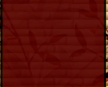 4 Digital Picture Frame Brands That Deliver Exceptional Image Quality