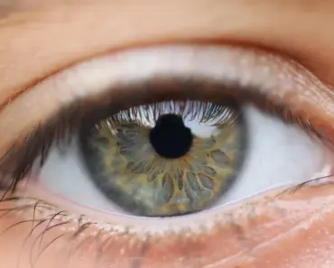 Doomsday’ IMAX FOMO