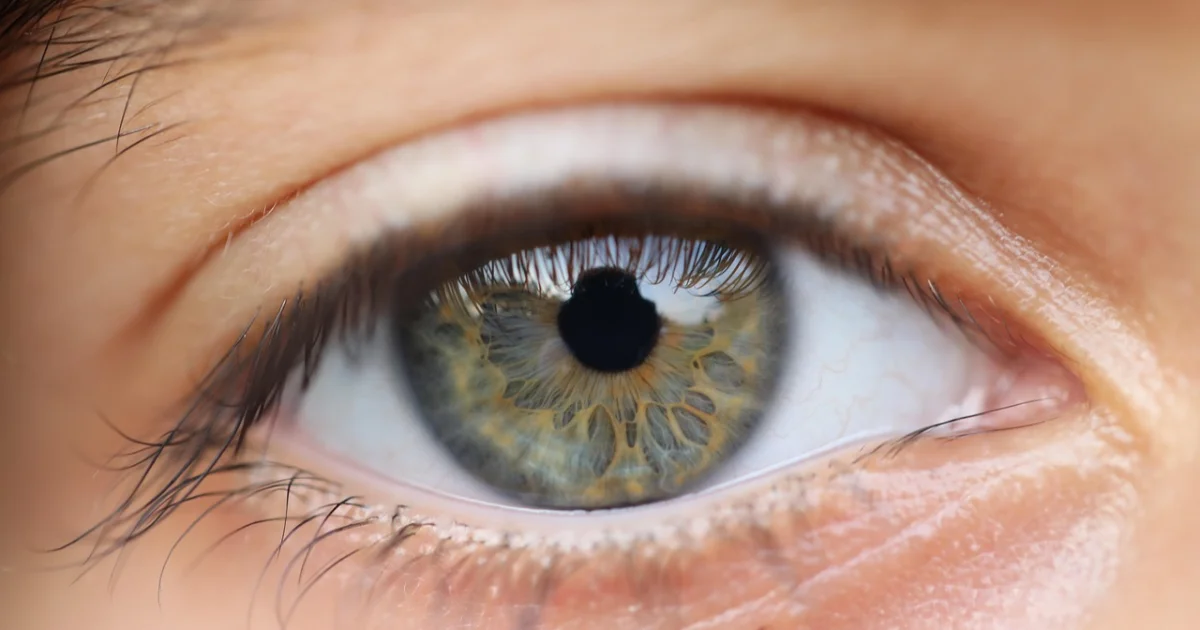 infinity vision certified theaters