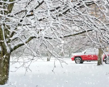 GM Axes Next-Gen Electric Truck, Retreats to Gas: What’s Next for EVs