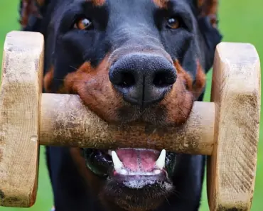 Crypto PACs Have More Money Than God: 13 Shocking Contributions