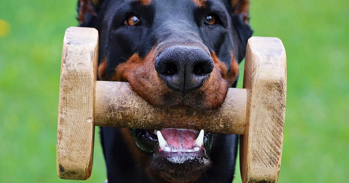 crypto industry contributions