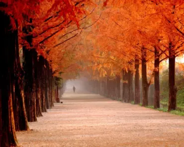 Meta’s New AI Model Gives Mark Zuckerberg a Seat at the Big Kid’s Table