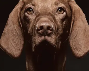 5 AI-Powered Job Hunting Hacks to Land More Interviews with Less Effort