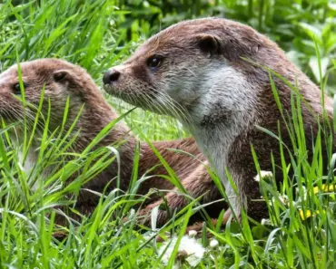 Percussive maintenance, planned obsolescence, and 3 other PC myths that science proved right